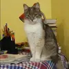 Отзыв от Мария Озерова